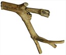 5273890-thumb.png