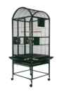 9002422 Green.png