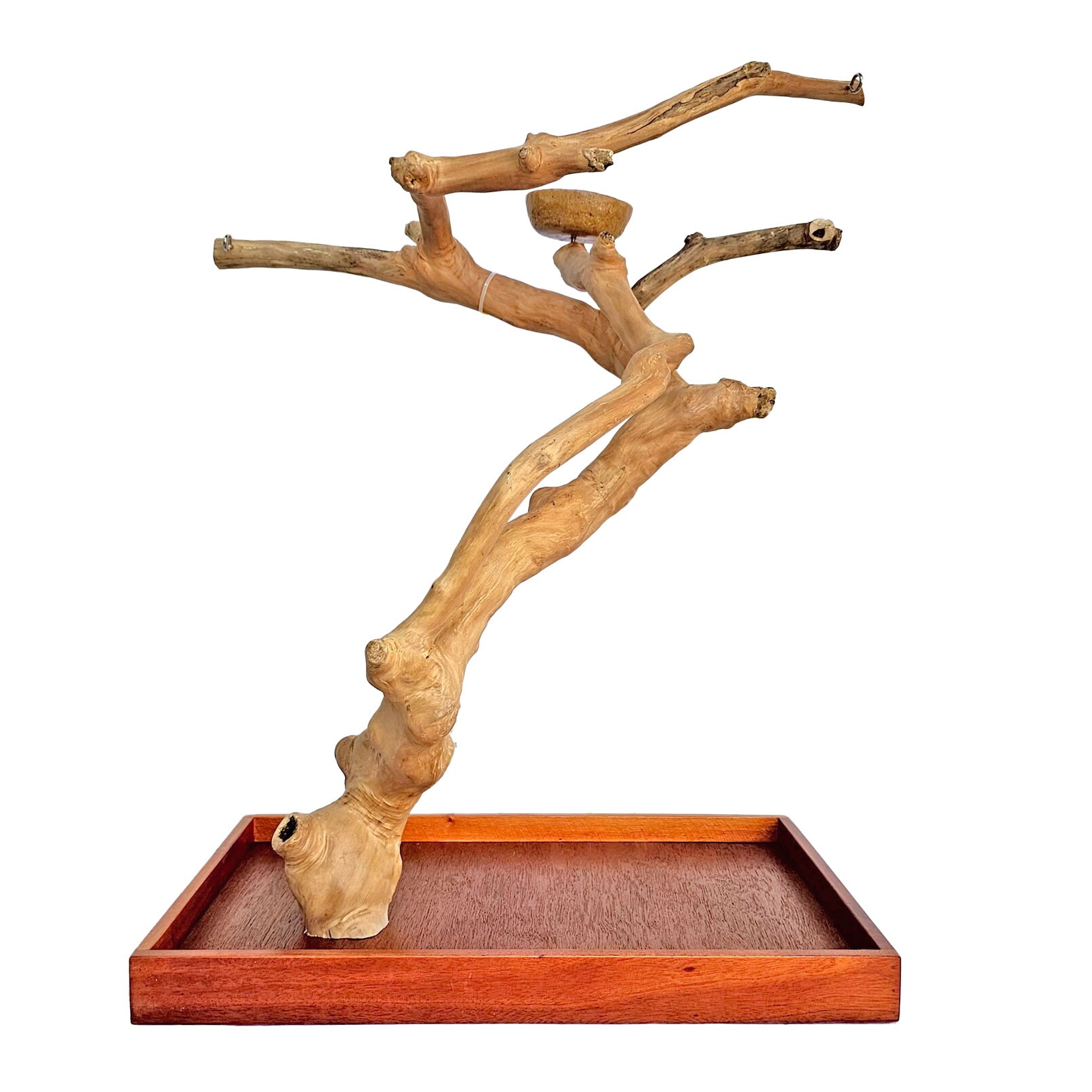 PYT-AE500M-A2476 - 22"x14" Medium Java Wood Table Top Play Stand