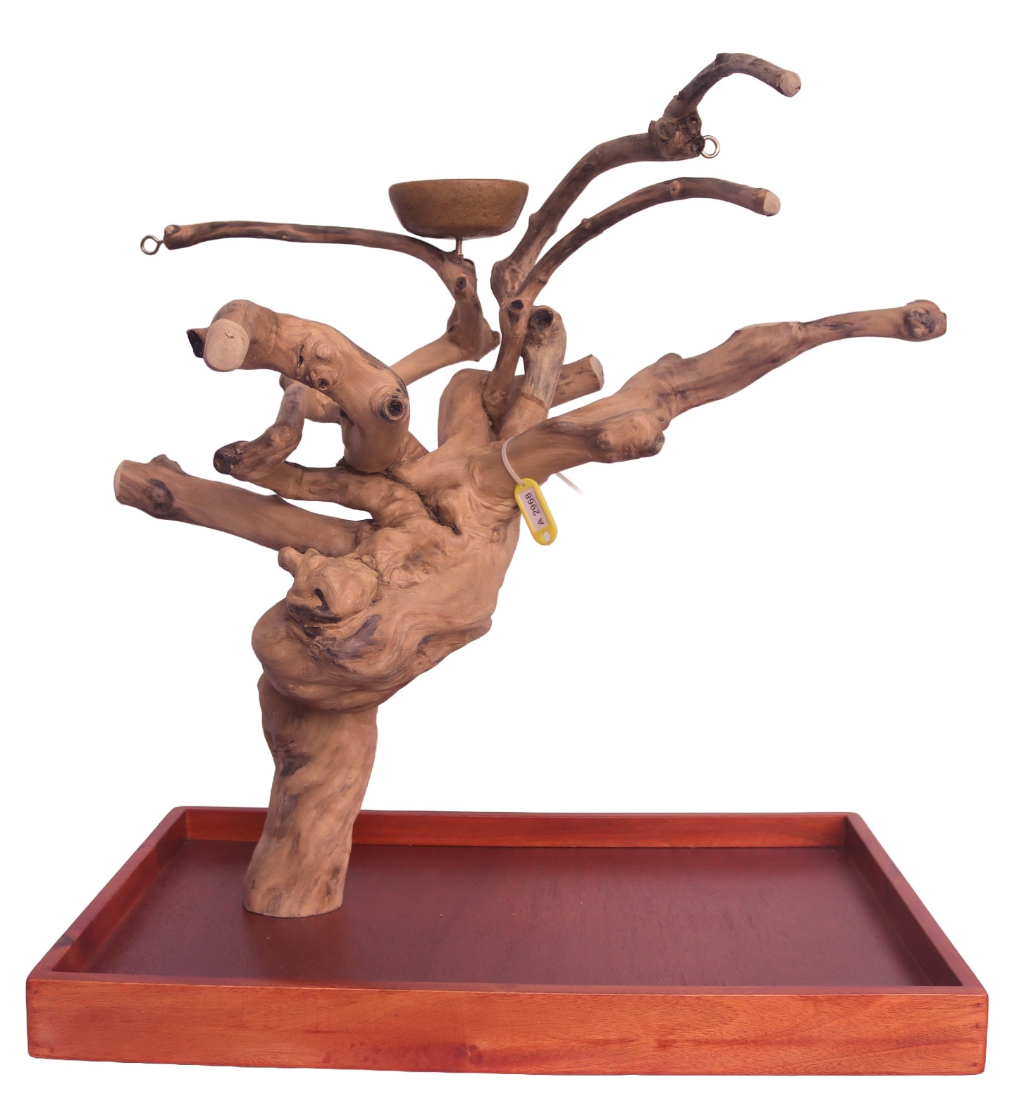 PYT-AE500M-A2968- 22"x14"Medium Java Wood Table Top Play Stand