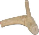 AE2100.jpg