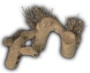 AE2111.jpg