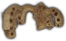 AE2112.jpg