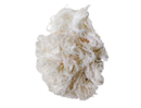 nesting material, nesting material for birds, birds nest nesting material