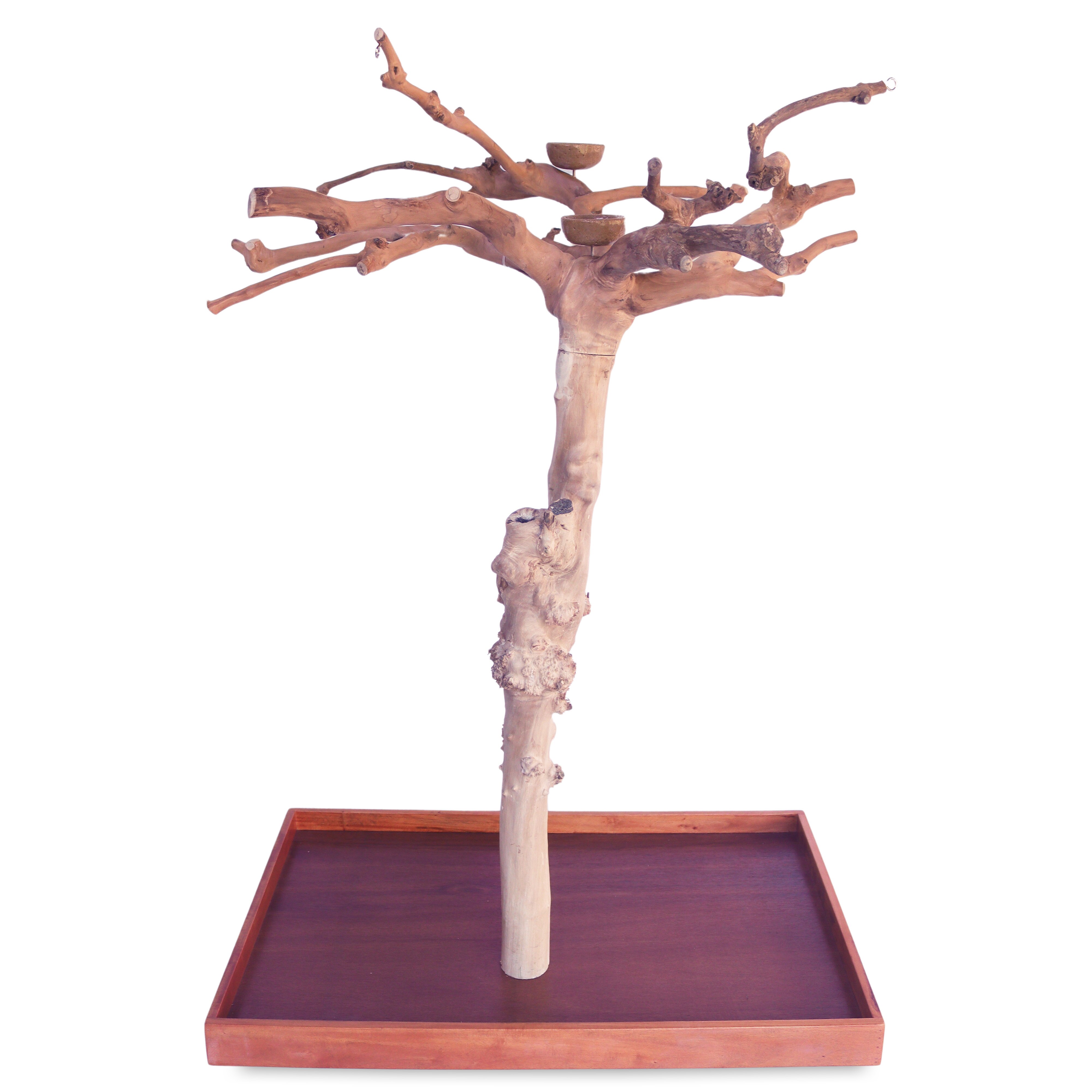 PYT-AE250M-B5410 - 40