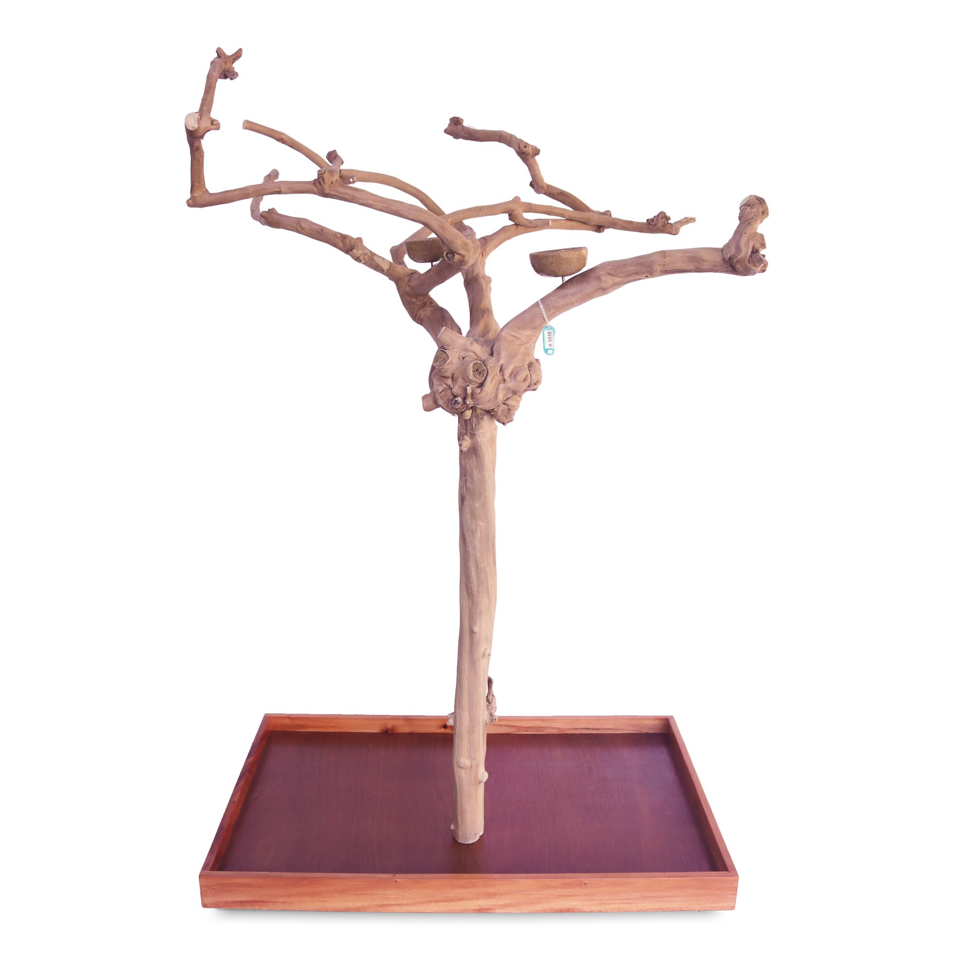 PYTAE250MB5418 40"x24"x61" Medium Java Wood Tree Boxed