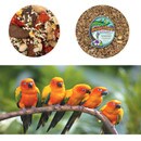 Bulk Food.jpg
