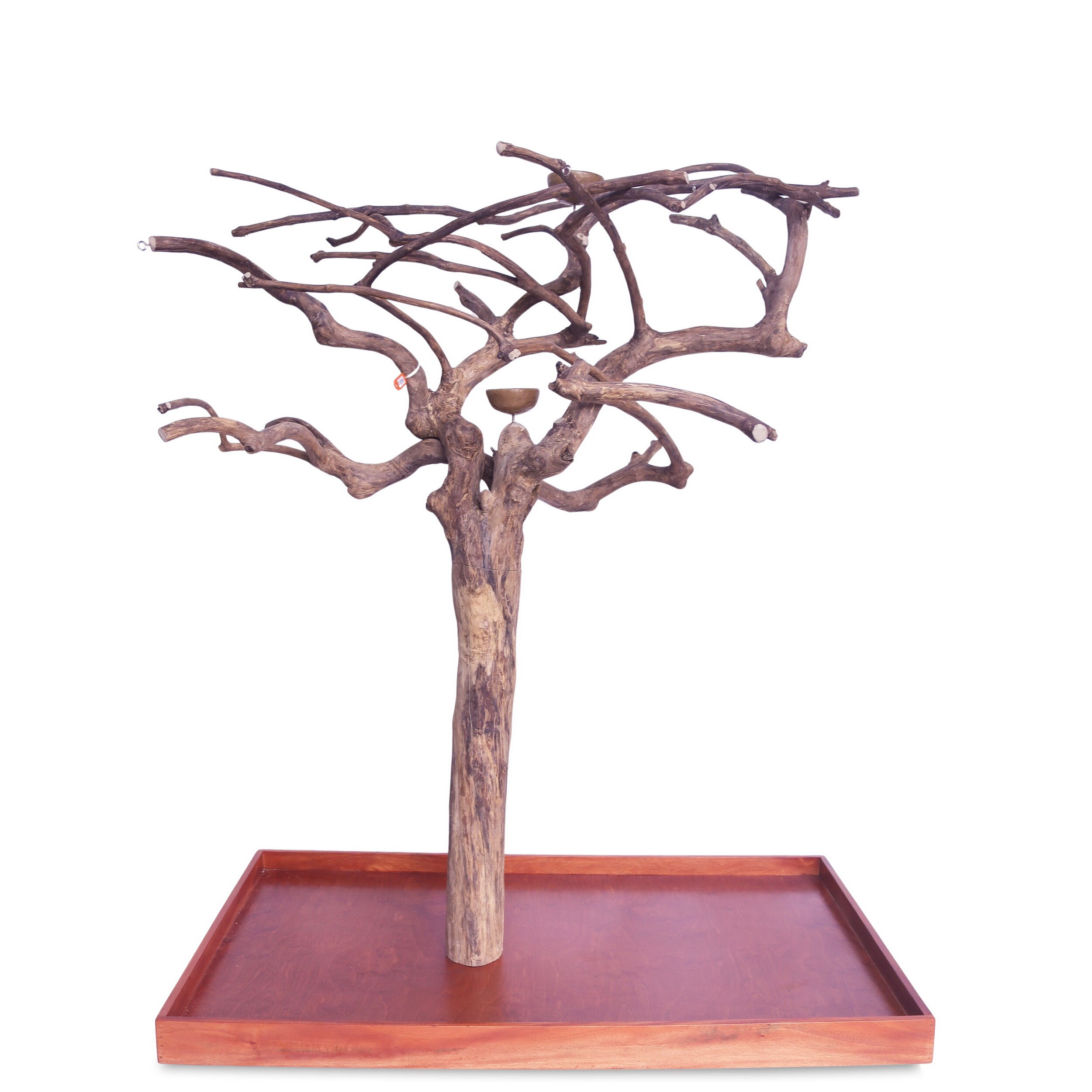 PYT-AE200M-C8194 - 48