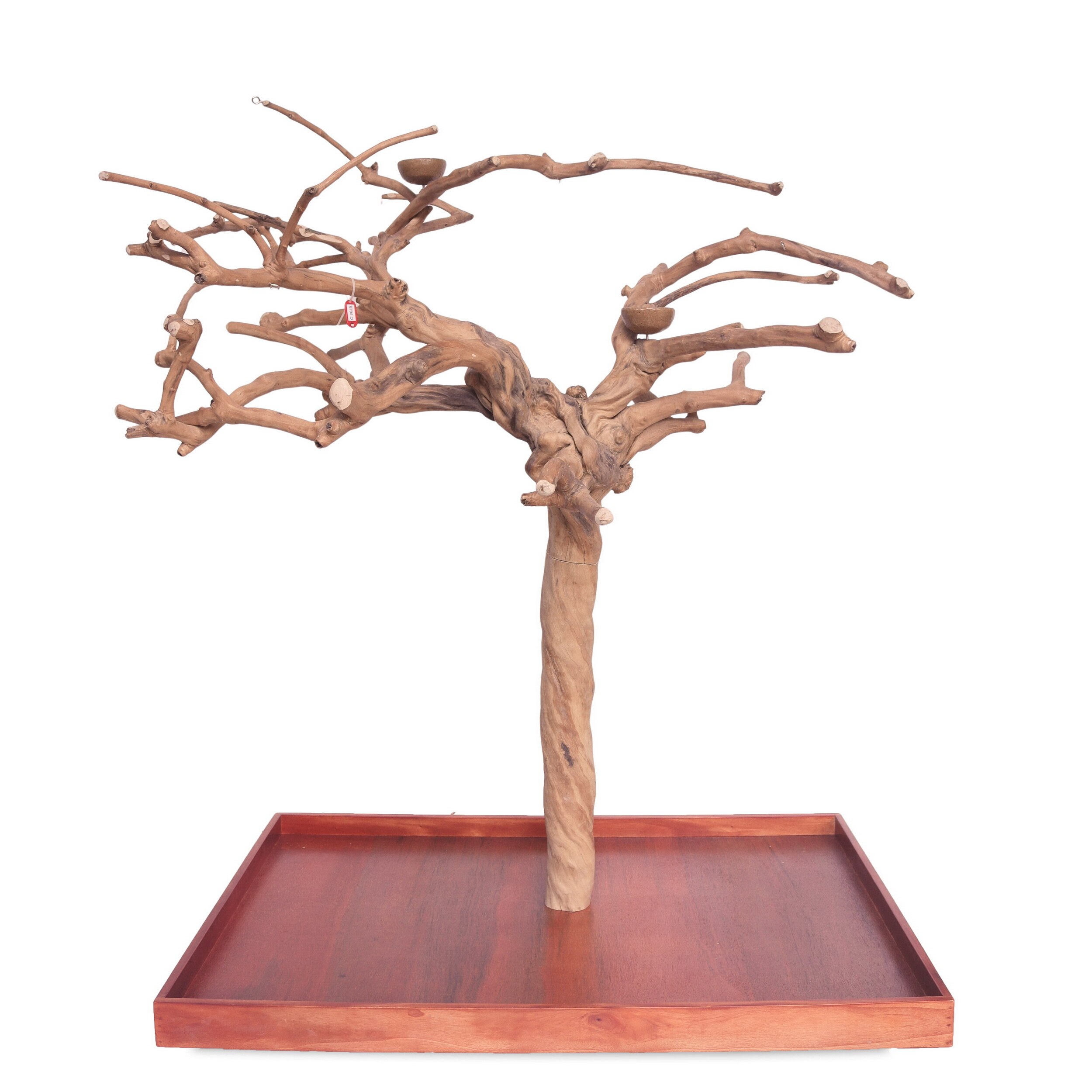 PYT-AE200L-C9045 - 48