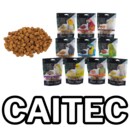 CAITEC.png