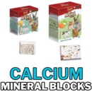 CALCIUM BLOCKS SA.png