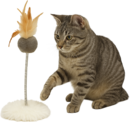 CAT001-LS.png