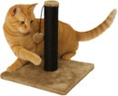 CAT002-LS.jpeg