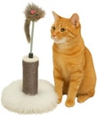 CAT003-LS.jpeg