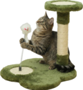 CAT005-ls.png