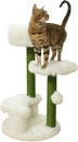 CAT009-LS.jpeg