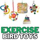 EXERCISE.png