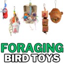 FORAGING.png