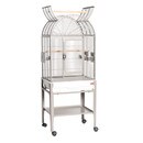 GA22217C-HQ-Platinum_web1.jpg