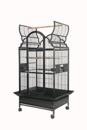 GC6-3628-PLATINUM-250.png