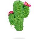 HB01500 CACTUS.jpg