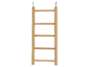 bird ladder