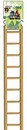 HB46415-9-rung-parakeet-hanging-wooden-ladder-250.png