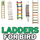 LADDERS.png