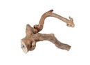 Multibranch L.jpg