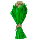 NB067_01.png