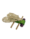 NB123.png