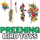 PREENING.png