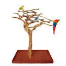 Perch Breeder Category.jpg