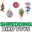 SHREDDING.png