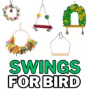 SWINGS.png