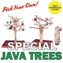 SpecialTrees_cat.png