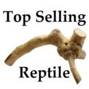 Top_Selling_Reptile.gif