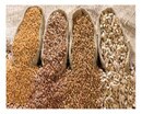 bulk_seed_1.jpg