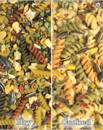cfc-Birdie-Pasta-1LB-250.png