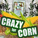 crazy-for-corn-banner-box.png